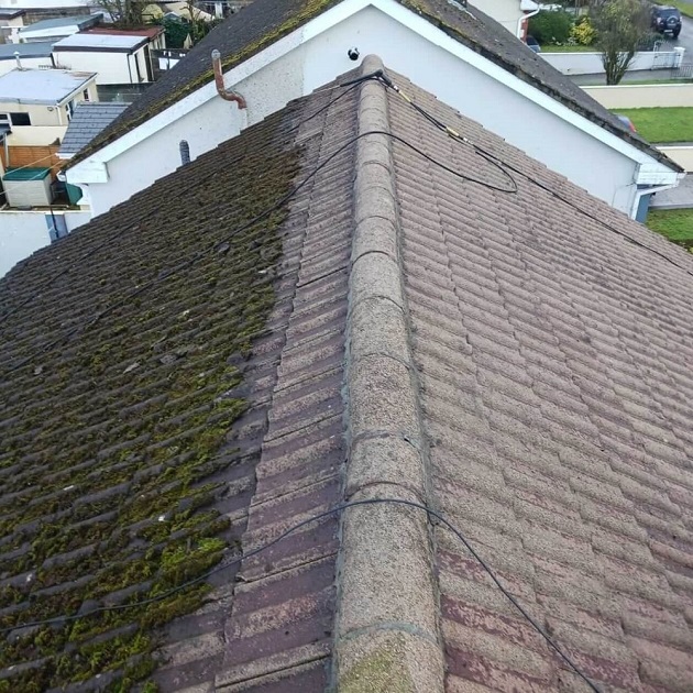 Roof Cleaning
