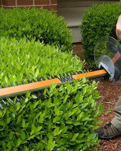 Hedge Trimming