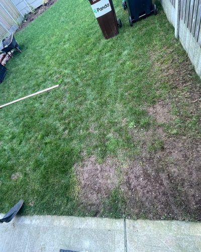 Before