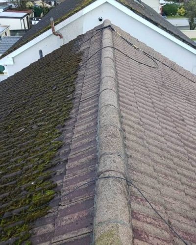 Roof Cleaning