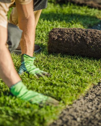 Artificial Grass