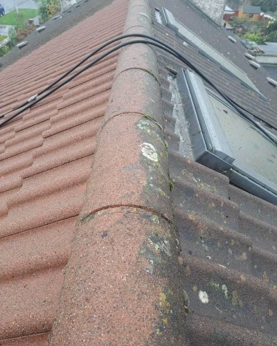 Roof Cleaning